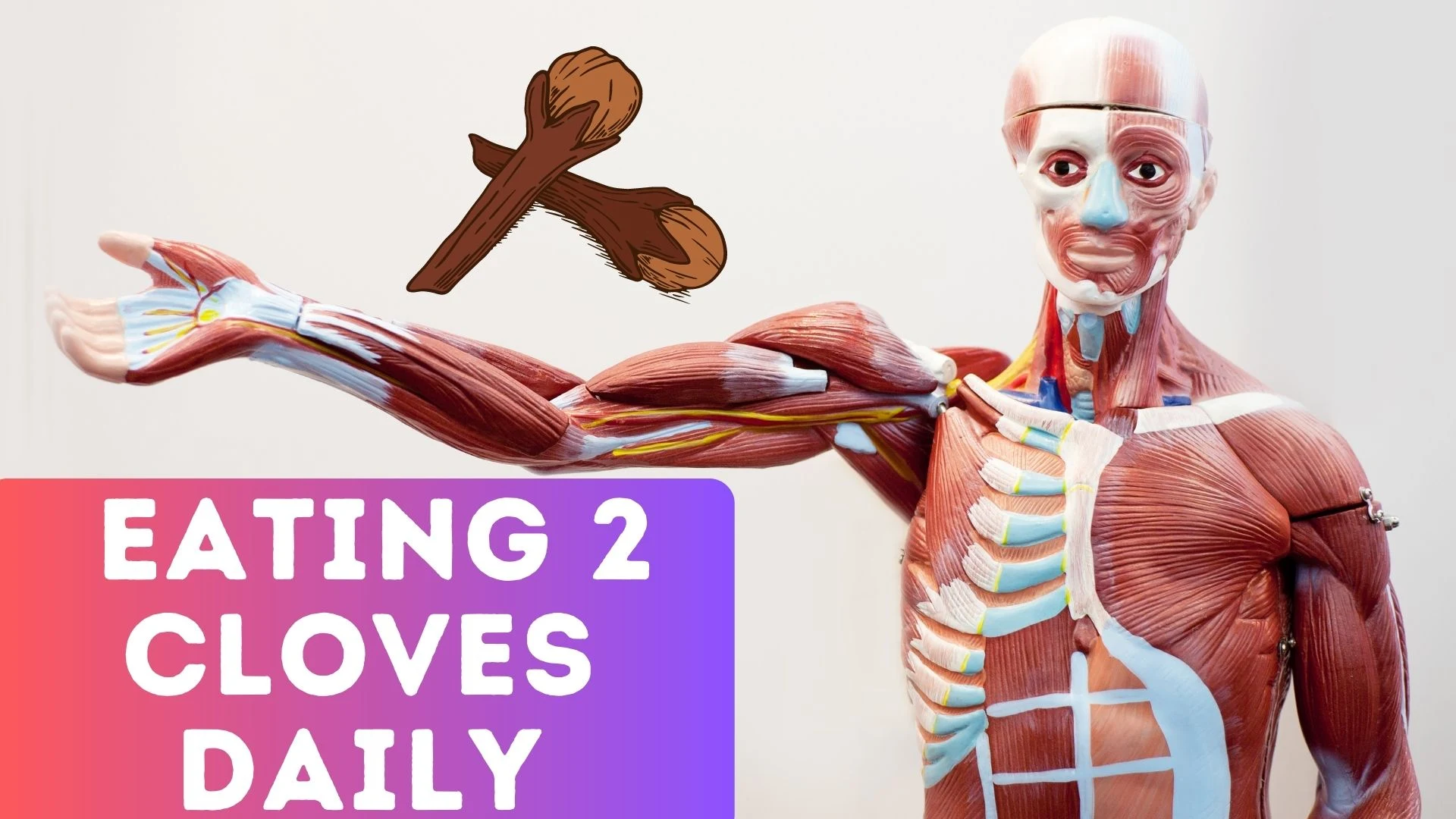 The Effects on Your Body When Consuming 2 Cloves Daily