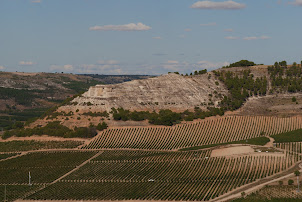 La RIBEIRA del DUERO , un vignoble cistercien