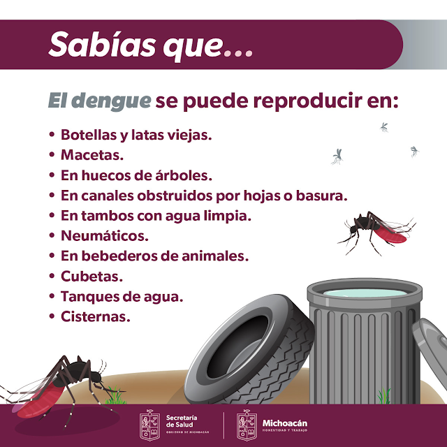 Michoacán registra acumula 40 casos de dengue. Mira qué municipio ocupa el primer lugar en infectados.