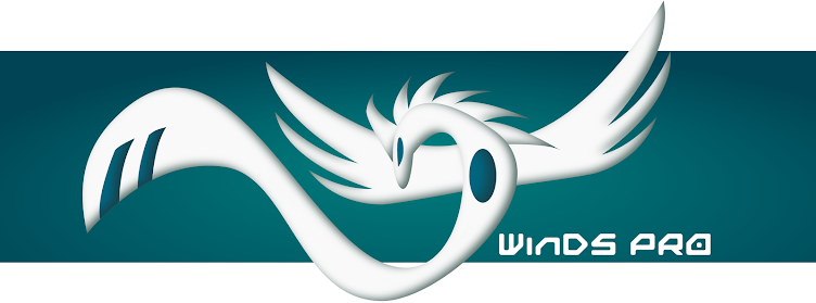 WinDS PRO Central