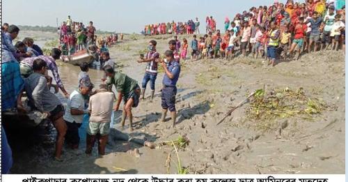 ৩ দিনপর কপোতাক্ষ নদ থেকে কলেজ ছাত্র আমিনুরের মৃতদেহ উদ্ধার-suprovatpaikgachha.com