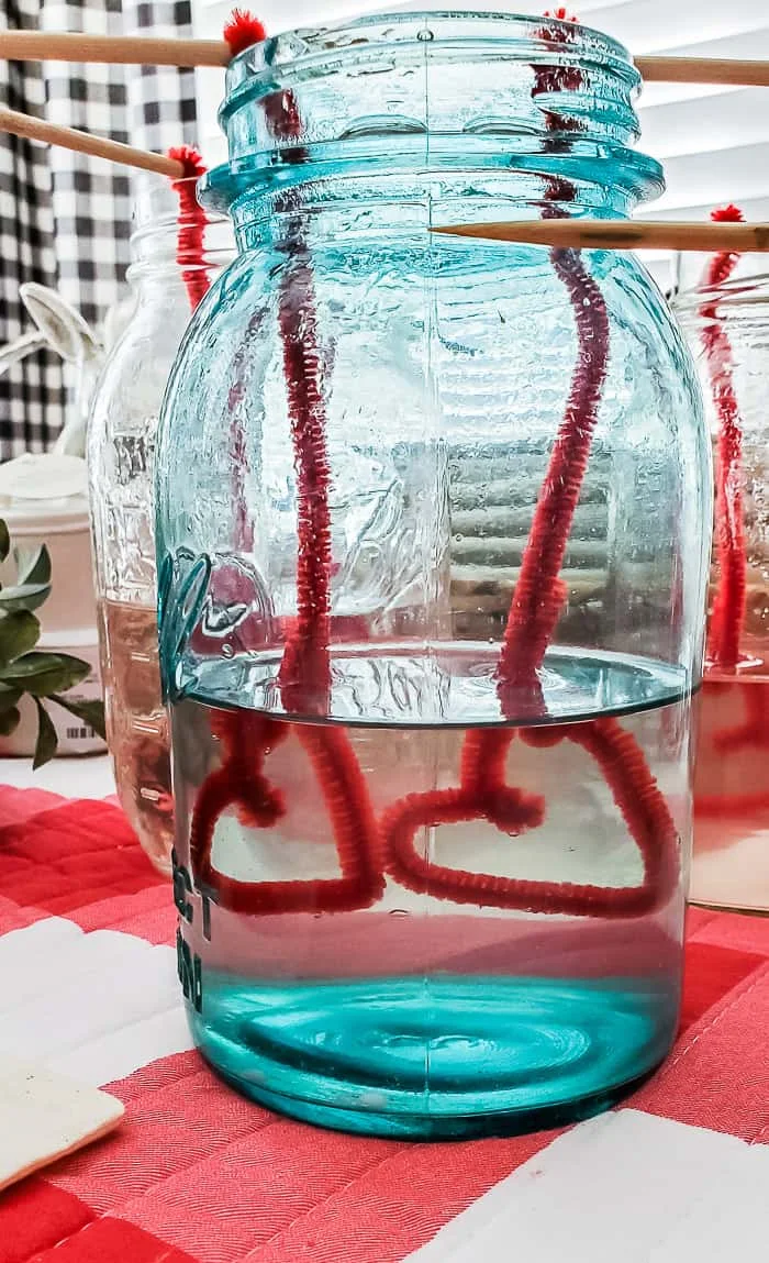 submerge hearts in mason jar filled with Borax and water