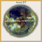 Anne - Owner Co-Ordinator/Admin