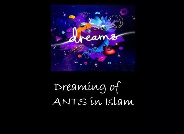 Dream of  Ants In Islam meaning