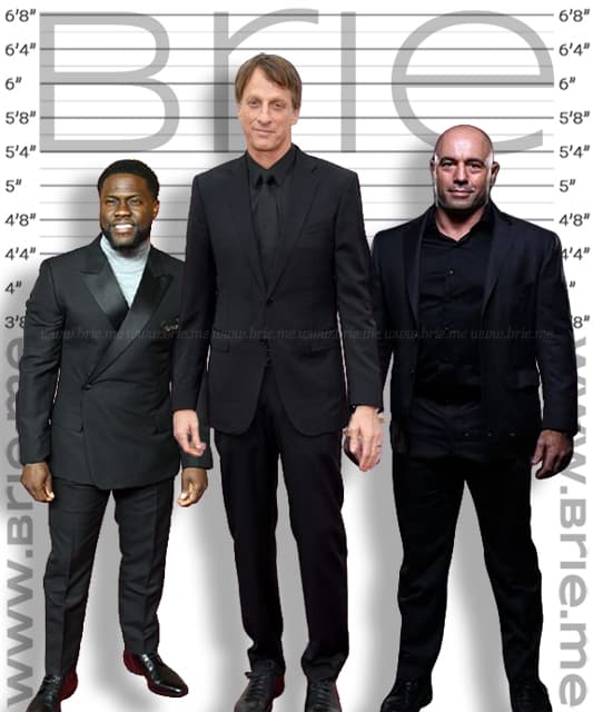Tony Hawk height comparison with Kevin Hart and Joe Rogan