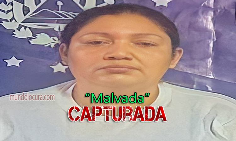 El Salvador: Cayó alias "Malvada" una colaboradora de la MS13 con antecedentes por organizaciones terroristas en 2007 y 2016