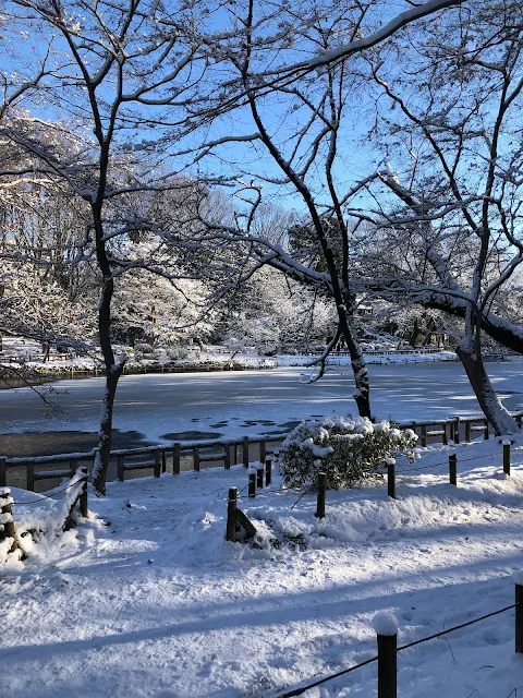 井の頭公園でも積雪