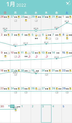 ダイエット,記録