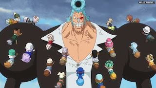 ワンピースアニメ ドレスローザ編 734話 | ONE PIECE Episode 734