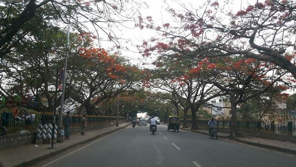 Malleshwaram Bangalore