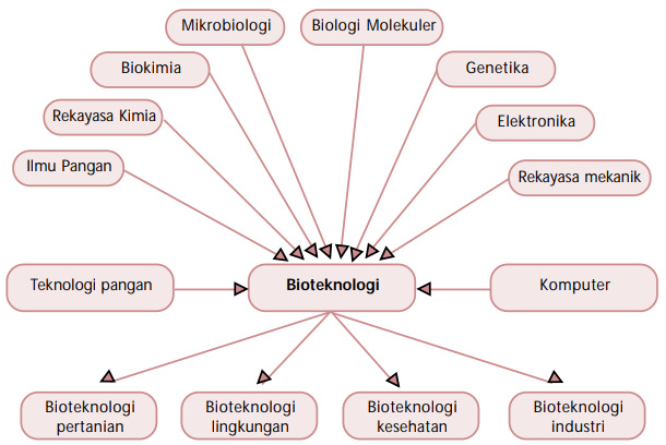 Perkembangan dan Prinsip Dasar Bioteknologi