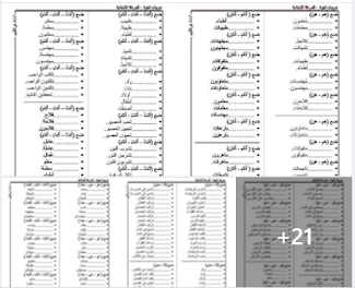 تدريبات لغوية للمرحلة الابتدائية بصيغة pdf