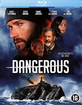 Dangerous (2021) Dual Audio [Hindi ORG – Eng 5.1ch] 720p | 480p BluRay ESub x264 850Mb | 350Mb