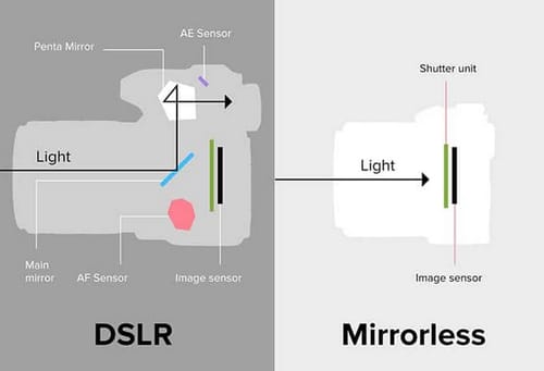 The differences between mirrorless and single-lens cameras