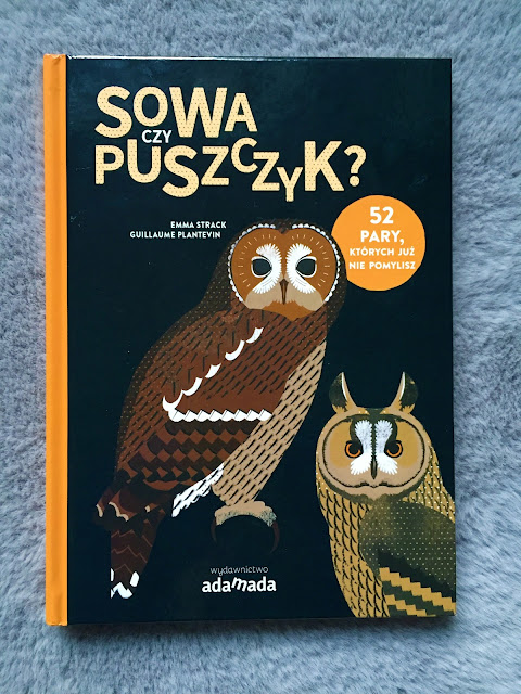 Recenzje #229 - "Sowa czy puszczyk?" - okładka książki - Francuski przy kawie