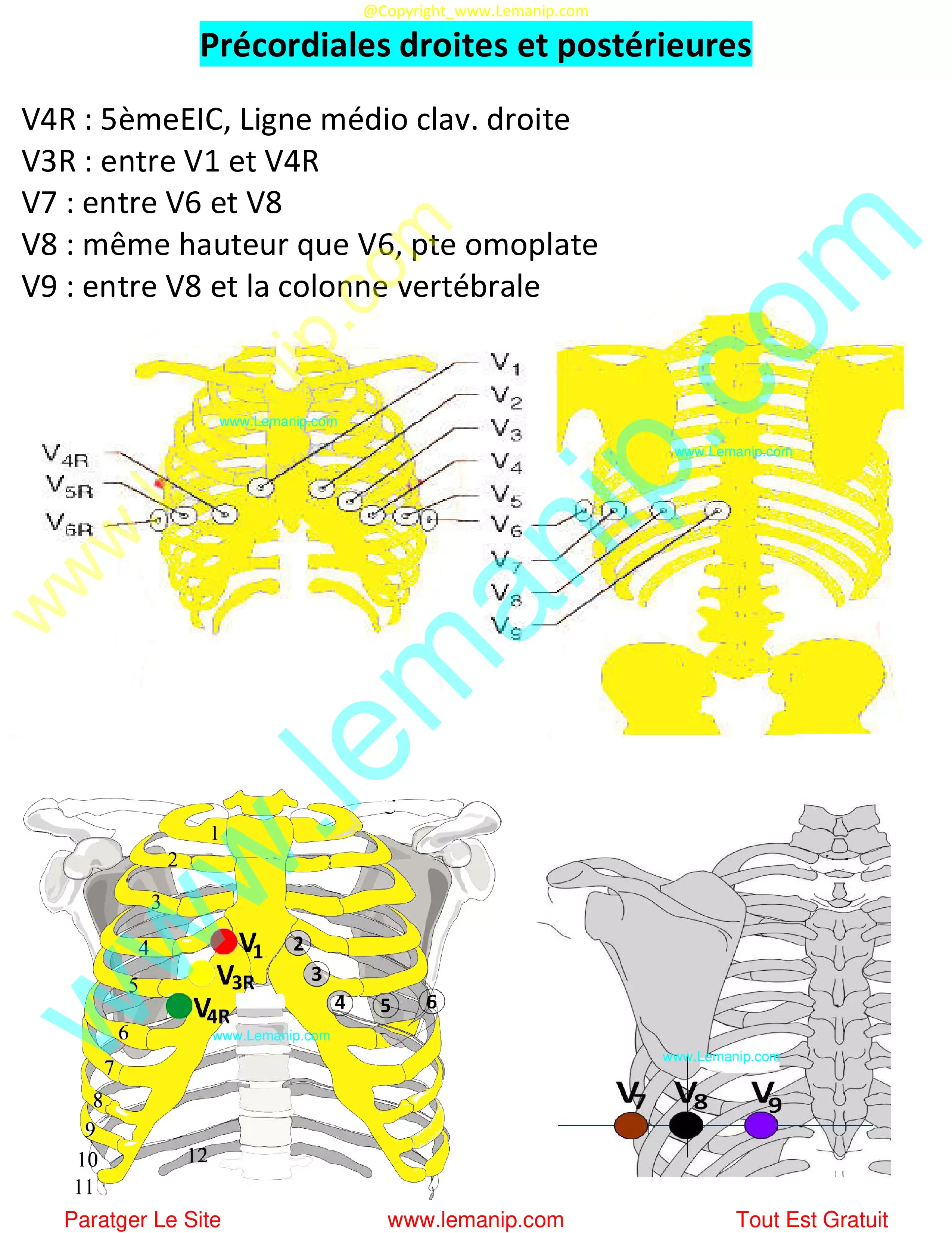 c ecg,électrocardiographes,ecg pour les nuls partie 7,ecg biron,sport ecg,cardiostat vs holter,electrocardiogramme privé,cardiostat 7 jours,hyperkaliémie ecg,holter longue durée,ecg médecine générale,cardiostat,ecg bases,mortara eli,ecg de 24h,électrocardiogramme femme,eolys ecg,holter implantable prix,ecg de repos