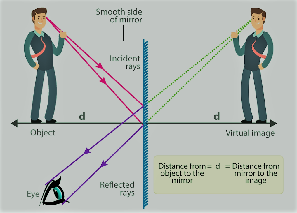 ncert solutions for class 8 science chapter 16 : Image formation in a plane mirror