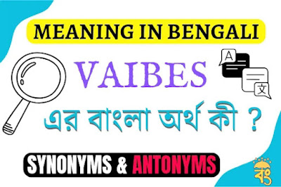 Vibes Meaning in Bengali