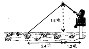 Solutions Class 10 गणित Chapter-6 (त्रिभुज)