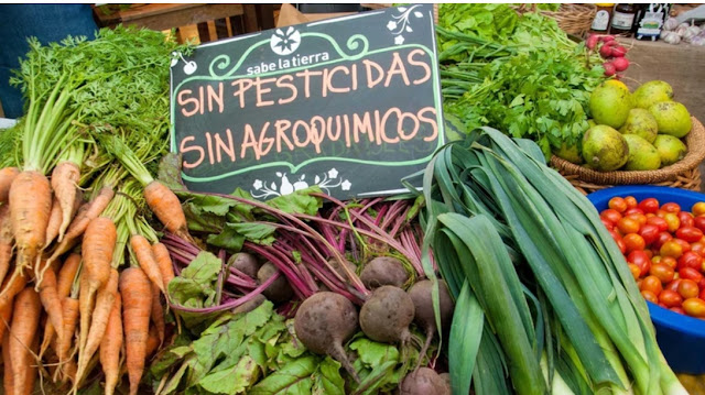 Alimentos sin transgenicos consumidor