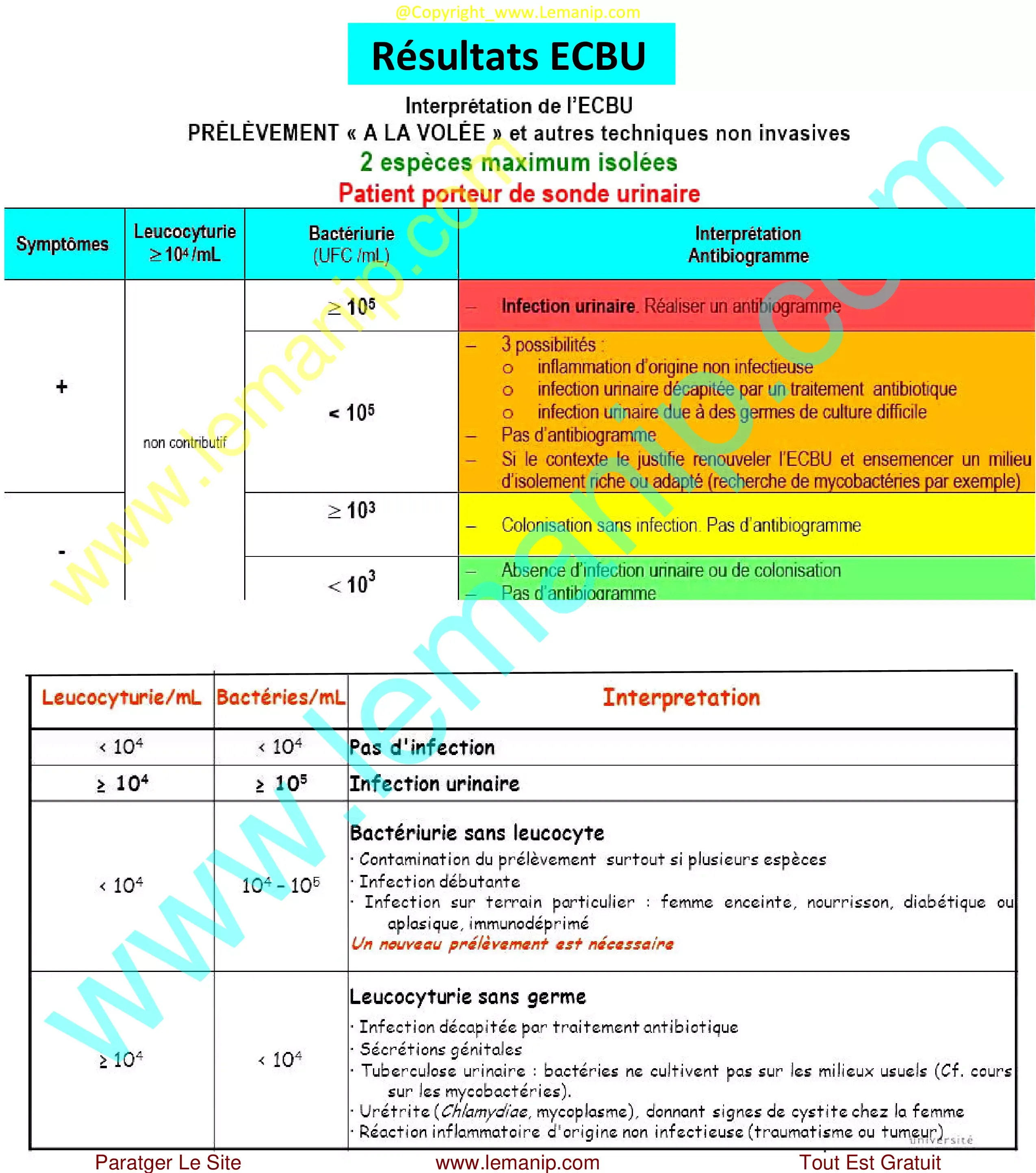 ECBU Examen Cyto Bactériologique Urinaires