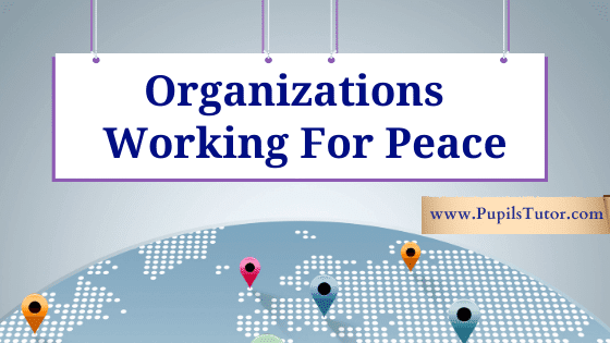What Is The Role Of Global Organizations In Promoting Peace? | List & Explain 10 Peace Organizations | How Different Institutes Promote Peace In World? - pupilstutor.com