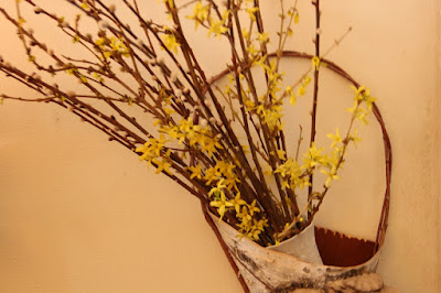 forced forsythia with  pussy willow stems