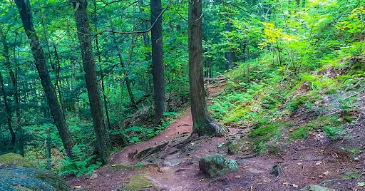 Trail Banner
