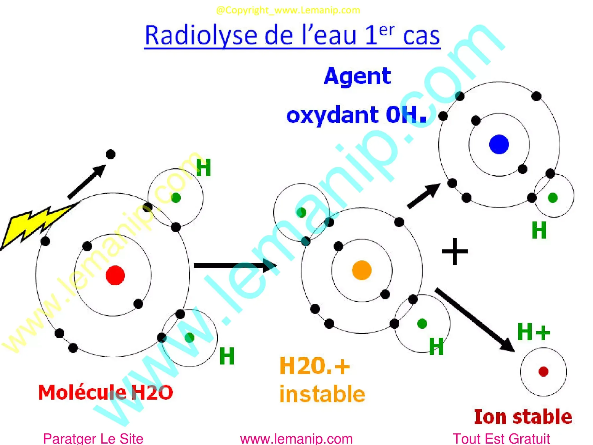 Radiolyse de l’eau 1er cas