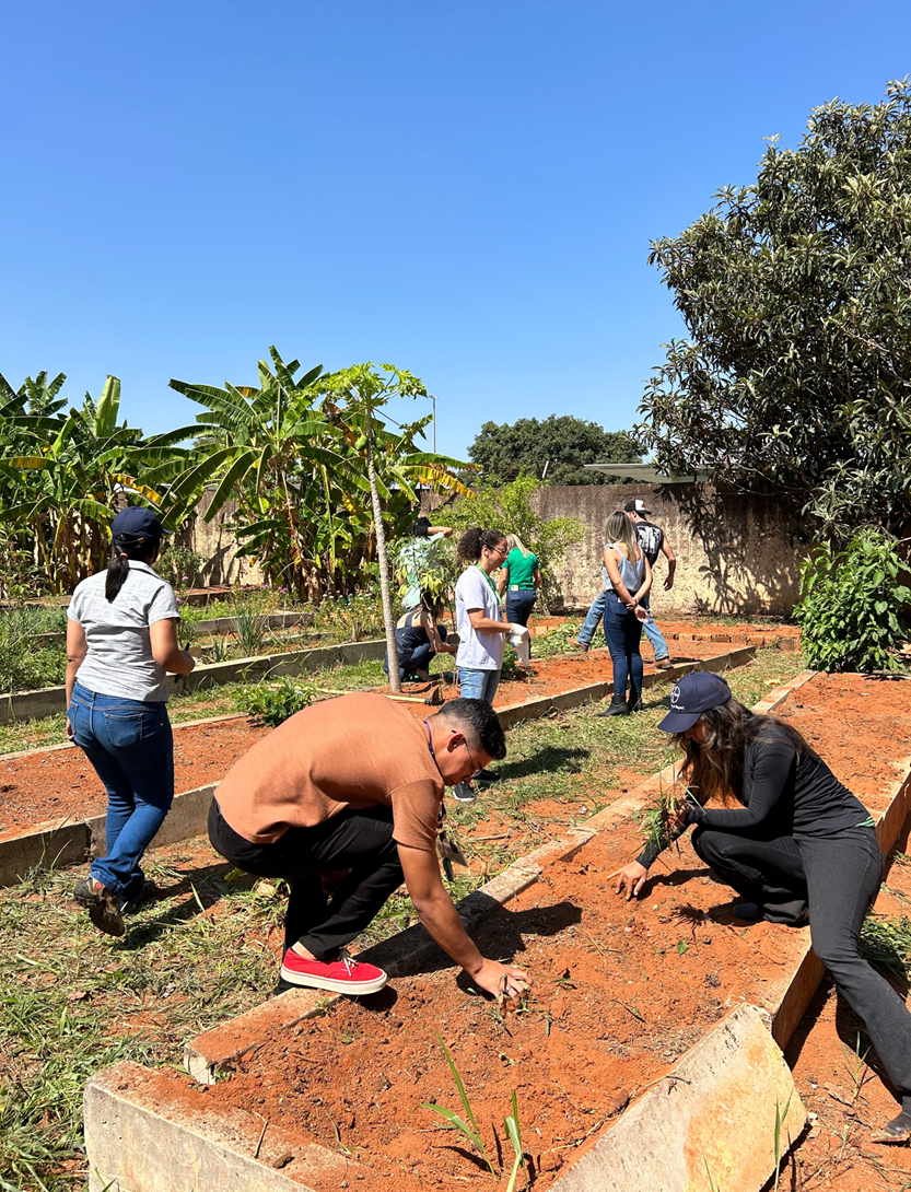   Projeto Horta nas Escolas