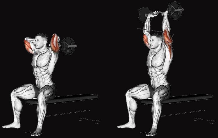 THE SEVEN BEST EXERCISES TO WORK YOU TRICEPS