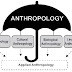 Theories of Human Origin and Evolution