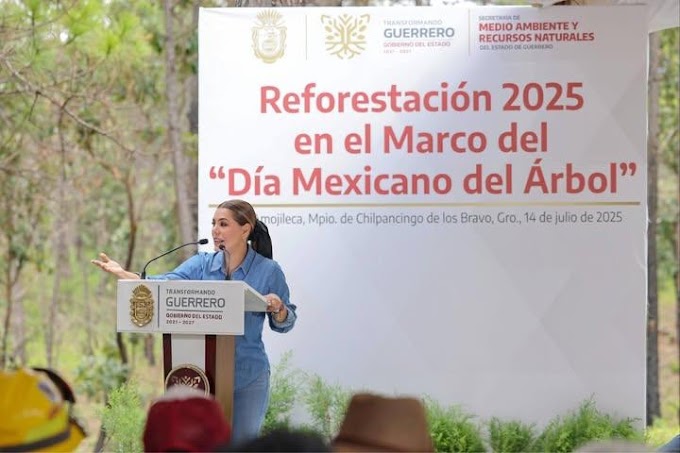La gobernadora de Guerrero Evelyn Salgado impulsa la agenda de Reforestación 2025 en el Marco del Día Mexicano del Árbol