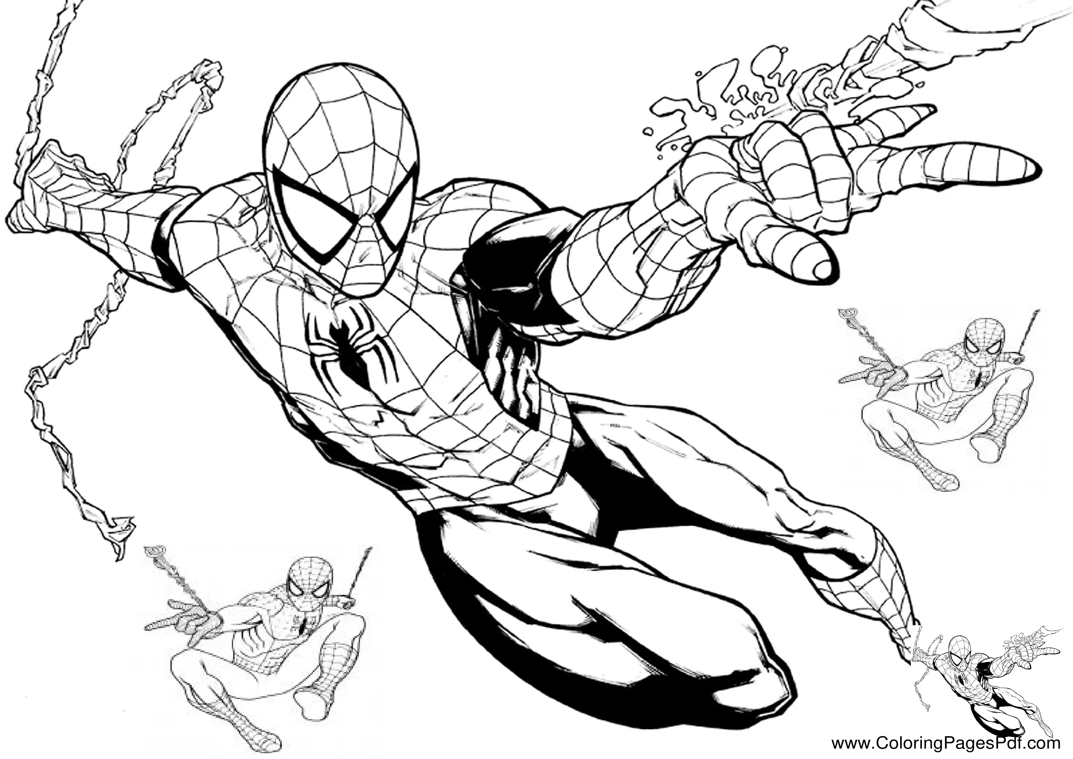 Coloring spiderman