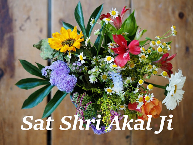 Sat Shri Akal Ji