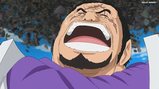 ワンピースアニメ ドレスローザ編 743話 海軍大将 藤虎 笑う イッショウ Fujitora | ONE PIECE Episode 743