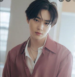 Wake up Korean fans, It is your time: Exo’s suho announced first official schedule after his return from the military_ ichhori.com