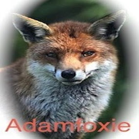 Adamfoxie Blog Inst.