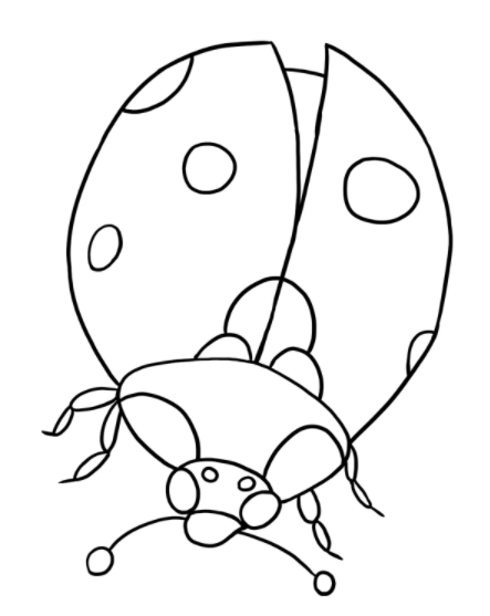 Free Printable Bug Coloring Pages Pdf