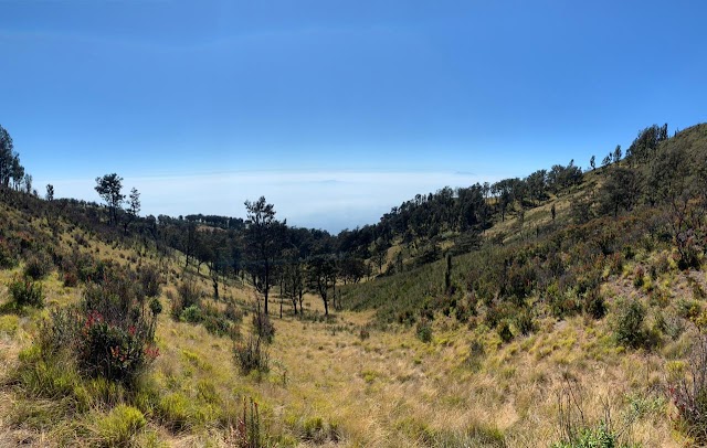 Porter Guide Candi Cetho Terfavorit, Cemoro Sewu Tercepat, Cemoro Kandang Termudah Mendaki Gunung Lawu