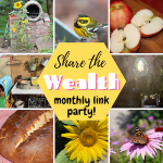 Scratch Made Food! & DIY Homemade Household is a featured blogger at Share the Wealth Link-up.