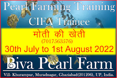 Pearl Farming Training