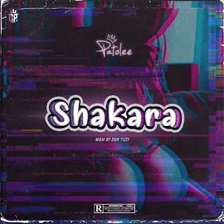 Patolee ~ Shakara (Prod by Don Tzzy)
