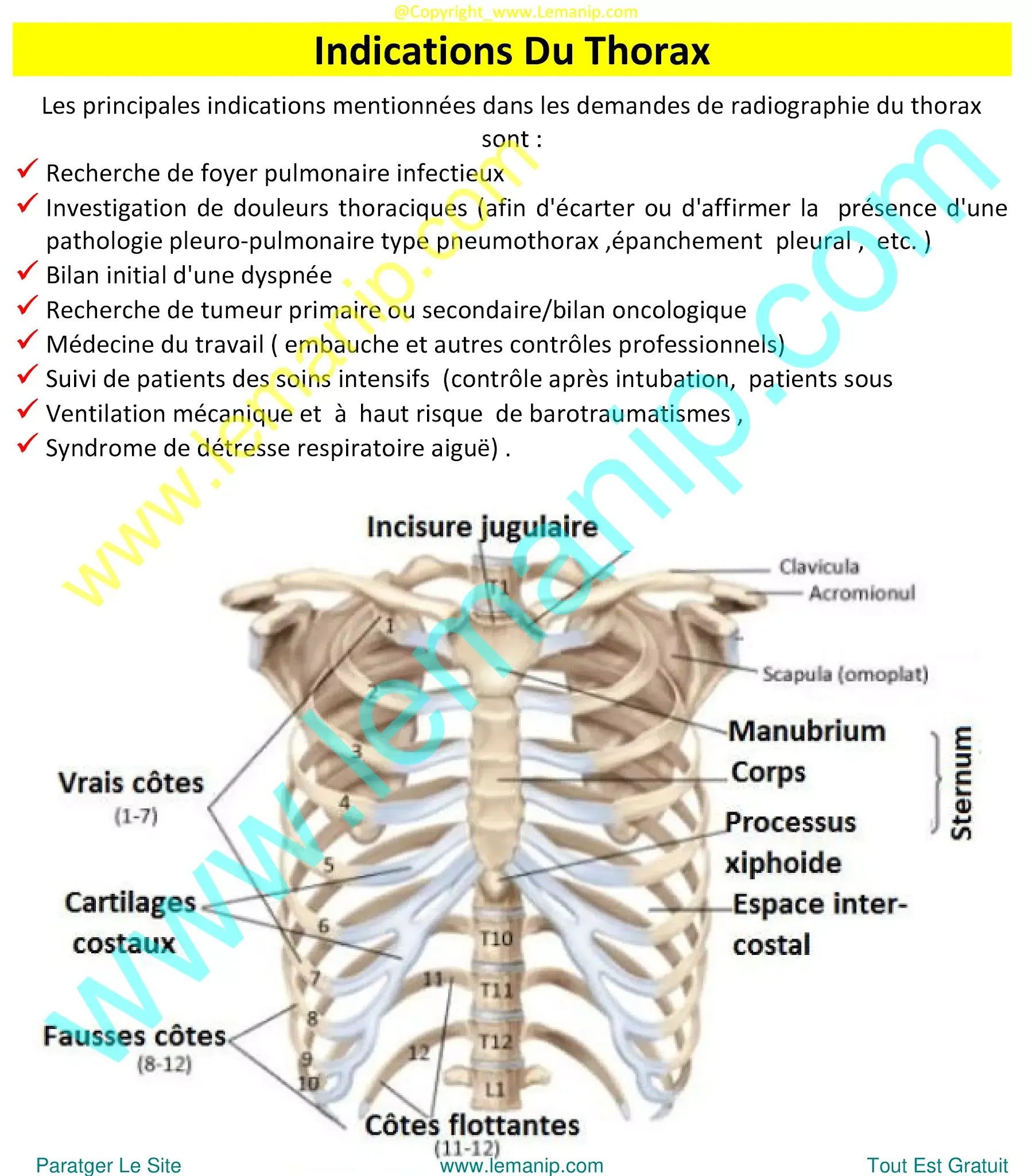 mesothelioma chest x ray,asbestos lung x ray,asthma chest x ray,asthma lungs x ray,urgent care with chest x ray near me,chest xray pa and lateral,ppd chest x ray,chest xray tb,chest x ray pa and lateral,chest xray pa lateral