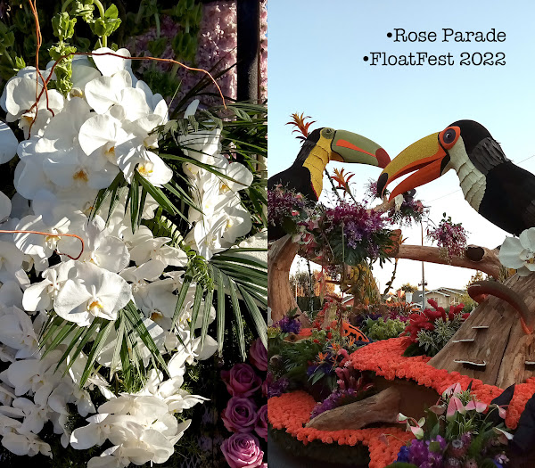 Rose Parade White Flowers and Toucans