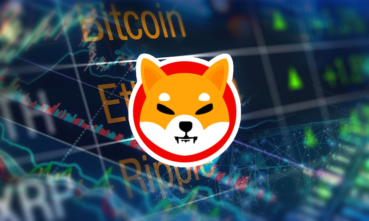 5 Reasons Why Shiba Inu Could Be Ready for a Bull Run in 2022 | Docmedio