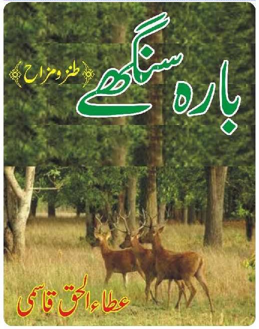 Barah Singhay By Ata Ul Haq Qasmi Download PDF Books