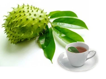 How to Prepare Soursop (Guyabano)Tea to Fight Cancer