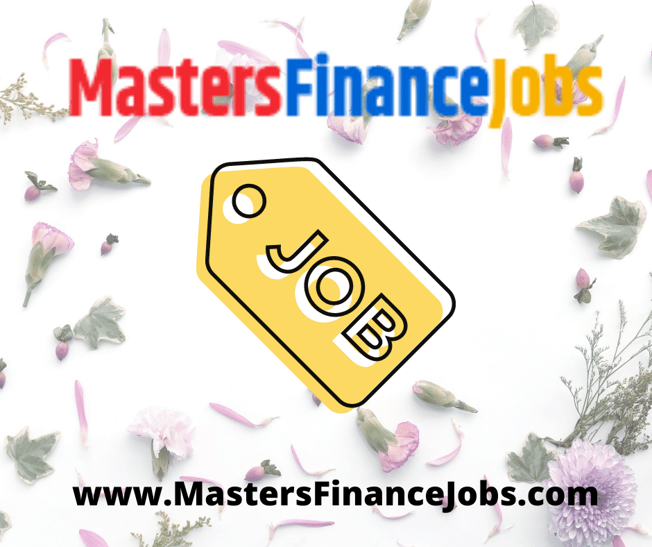 good finance manager, accounting finance job, finance job titles, niche job boards, institute chartered accountants, makes good finance, qualities good finance, title accounting finance, job titles explained, let's face terms