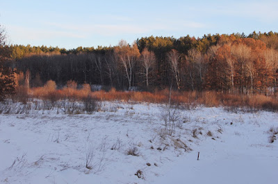 January, North Country